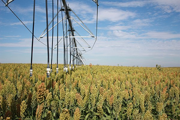 LAND AUCTION, 3255+/- Acres offered in 13 Tracts